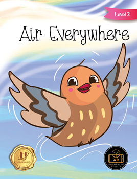 AIR EVERYWHERE LEVEL 2 resmi