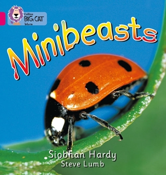 COLLINS BIG CAT MINIBEATS resmi