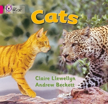 COLLINS BIG CAT CATS resmi