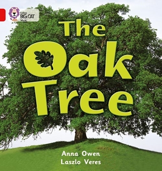 COLLINS BIG CAT THE OAK TREE resmi