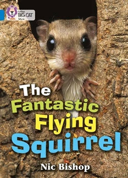 COLLINS BIG CAT THE FANTASTIC FLYING SQUIRREL resmi