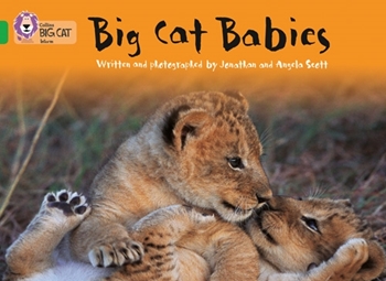 COLLINS BIG CAT BIG CAT BABIES GREEN resmi