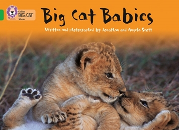 COLLINS BIG CAT BIG CAT BABIES GREEN resmi