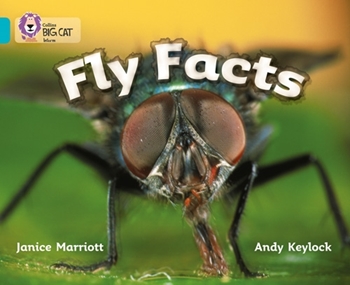 COLLINS BIG CAT FLY FACTS TURQUOISE resmi