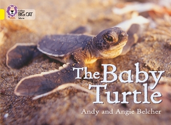 COLLINS BIG CAT THE BABY TURTLE resmi