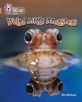 COLLINS BIG CAT WEİRD LİTTLE MONSTERS-COPPER resmi