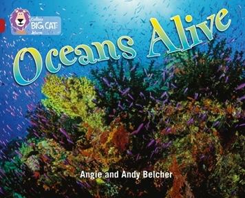COLLINS BIG CAT OCEANS ALIVE resmi