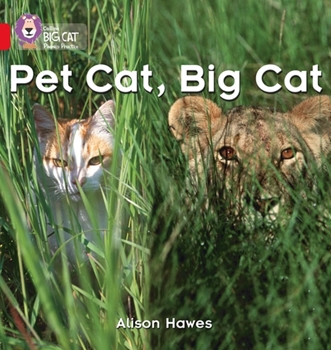 COLLINS BIG CAT PET CAT, BIG CAT resmi