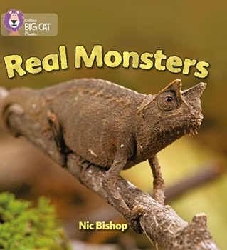 COLLINS BIG CAT REAL MONSTERS resmi