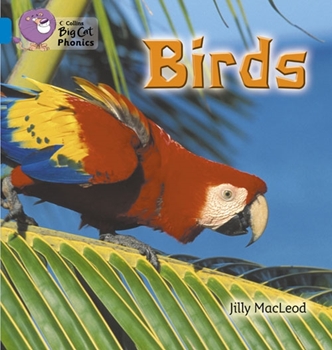 COLLINS BIG CAT BIRDS resmi