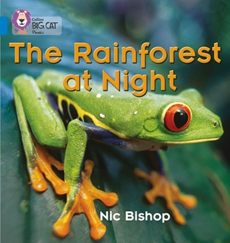 COLLINS BIG CAT THE RAINFOREST AT NIGHT resmi