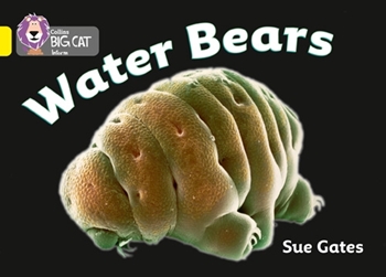 COLLINS BIG CAT WATER BEARS resmi