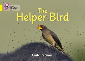COLLINS BIG CAT HELPER BIRD YELLOW resmi