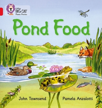 COLLINS BIG CAT POND FOOD resmi