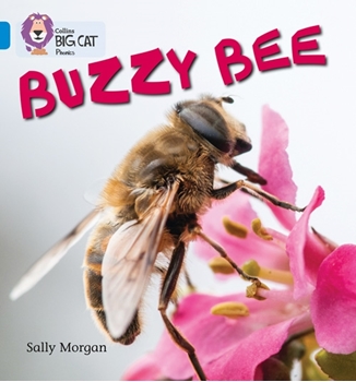 COLLINS BIG CAT BUZZY BEES resmi