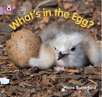 COLLINS BIG CAT WHATS IN THE EGG? LILAC resmi