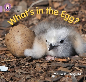 COLLINS BIG CAT WHATS IN THE EGG? LILAC resmi