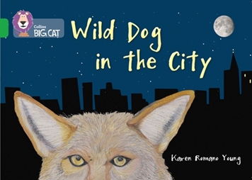 COLLINS BIG CAT -WILD DOG IN THE CITY resmi