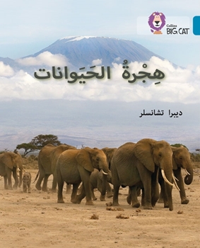 BIG CAT ARABIC ANIMAL MIGRATION resmi