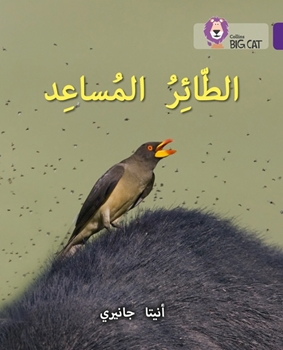 BIG CAT ARABIC THE HELPER BIRD resmi
