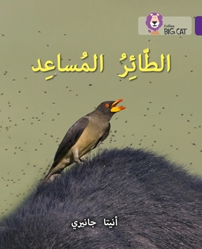 BIG CAT ARABIC THE HELPER BIRD resmi