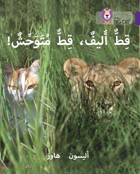 BIG CAT ARABIC TAME CAT, WILD CAT resmi