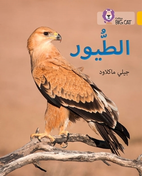 BIG CAT ARABIC BIRDS resmi