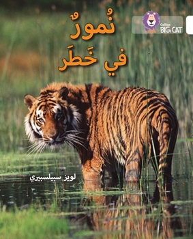 BIG CAT ARABIC TIGERS IN DANGER resmi