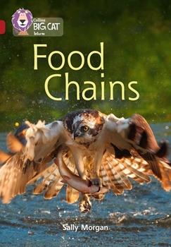 COLLINS BIG CAT FOOD CHAINS resmi