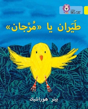 BIG CAT ARABIC FLY, MURJAN! resmi