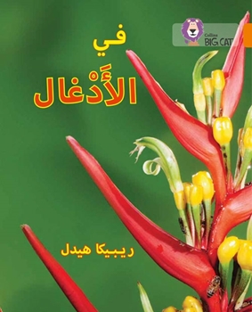 BIG CAT ARABIC IN THE JUNGLE resmi