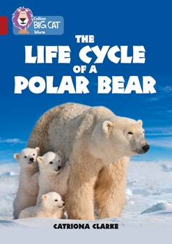 COLLINS BIG CAT  LIFE CYCLES OF A POLAR BEAR RUBY resmi