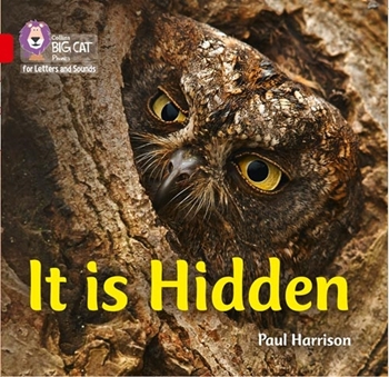 COLLINS BIG CAT IT IS HIDDEN resmi
