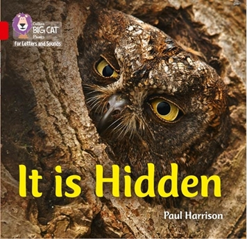 COLLINS BIG CAT IT IS HIDDEN resmi