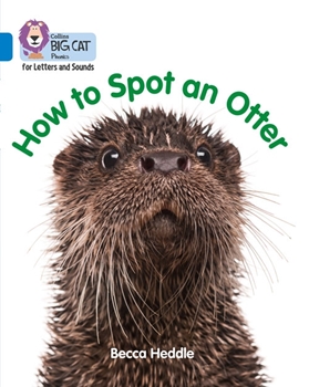 COLLINS BIG CAT HOW TO SPOT AN OTTER resmi