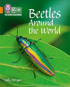 COLLINS BIG CAT BEETLES AROUND THE WORLD resmi