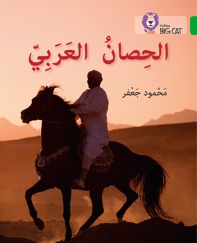 BIG CAT ARABIC THE ARABIAN HORSE resmi