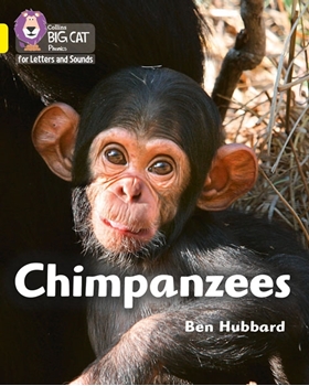 COLLINS BIG CAT CHIMPANZEES resmi