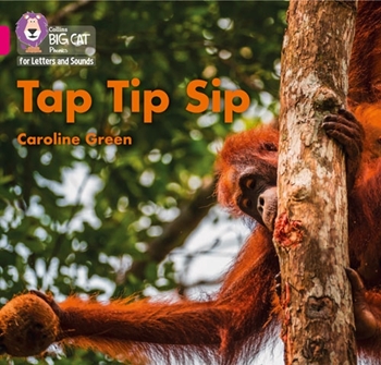 COLLINS BIG CAT TAP TIP SIP resmi