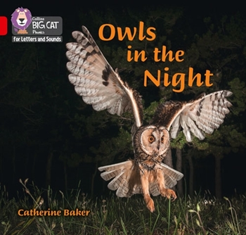 COLLINS BIG CAT OWLS IN THE NIGHT resmi