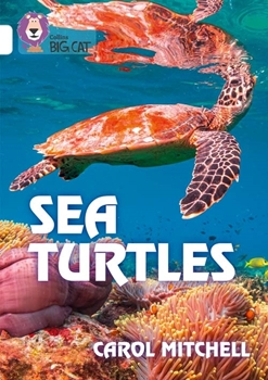 COLLINS BIG  CAT SEA TURTLES resmi