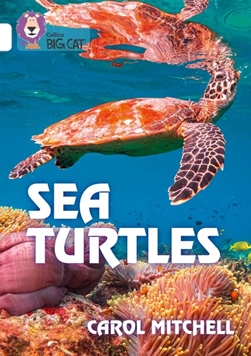 COLLINS BIG  CAT SEA TURTLES resmi