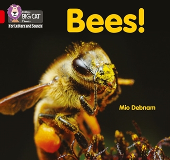 COLLINS BIG CAT BEES! resmi
