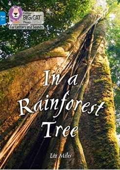 COLLINS BIG CAT IN THE RAINFOREST TREE resmi