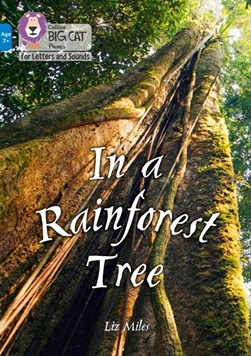 COLLINS BIG CAT IN THE RAINFOREST TREE resmi