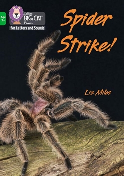 COLLINS BIG CAT SPIDER STRIKE! resmi