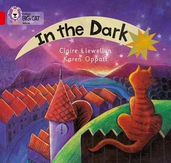 COLLINS BIG CAT IN THE DARK resmi