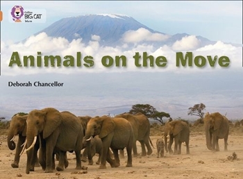 BIG CAT-COPPER BAND 12-ANIMALS ON THE MOVE resmi
