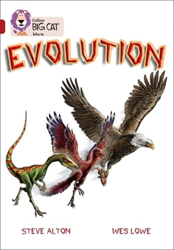 BIG CAT-RUBY BAND 14-EVOLUTION resmi