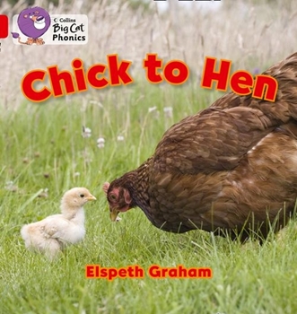 COLLINS BIG CAT CHICK TO HEN resmi